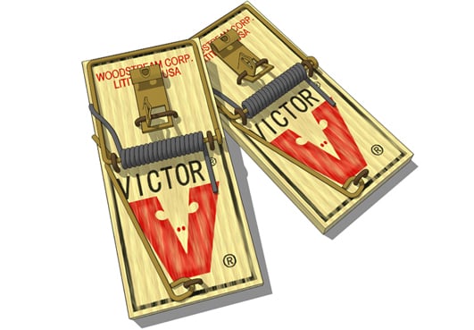Victor Brand Mousetraps (2 pack)